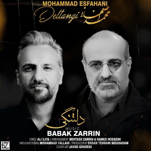 دانلود آهنگ محمد اصفهانی دلتنگی